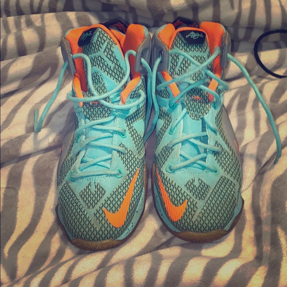 Lebron sneakers